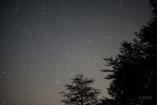 The Cove Campground Night Sky