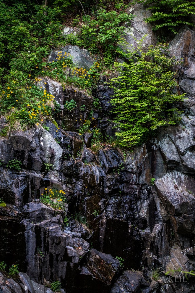Scenic Highway Virginia Shenandoah Overlook Tunnel