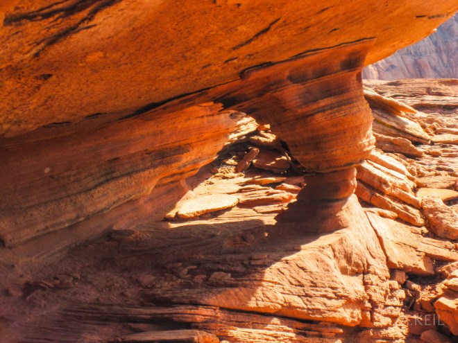 Hiking in Grand Canyons Arizona #20100117-0637