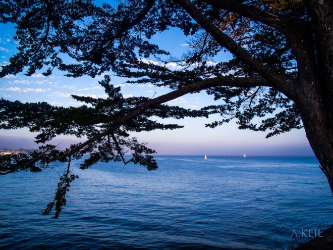 Santa Cruz Beach #20100728-0140