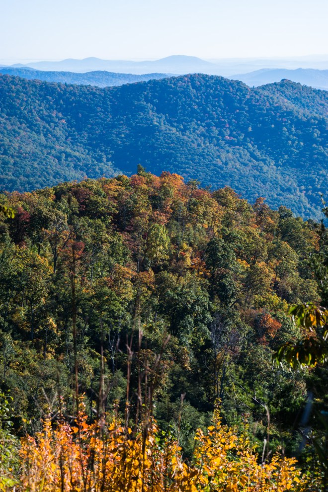 Skyline Drive, VA #20151012-9833