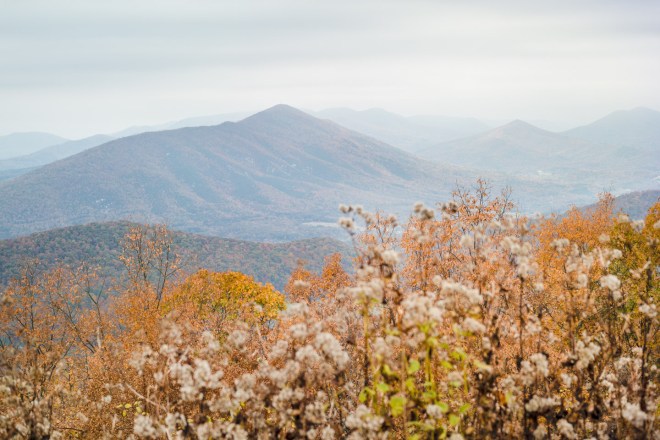 Bridges-20151024-_SAM2077-3 (2)