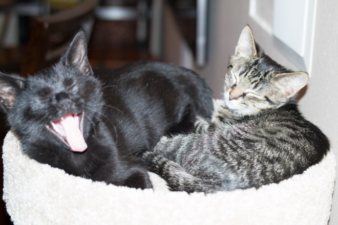 untitled-20151030-3128