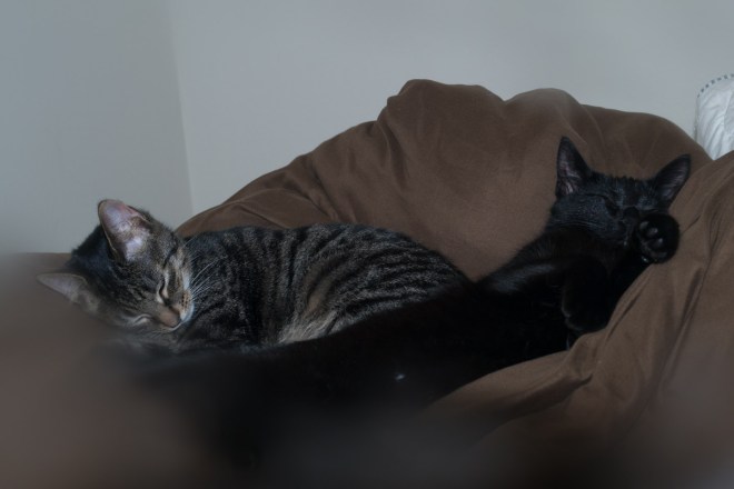 untitled-20160123-3761