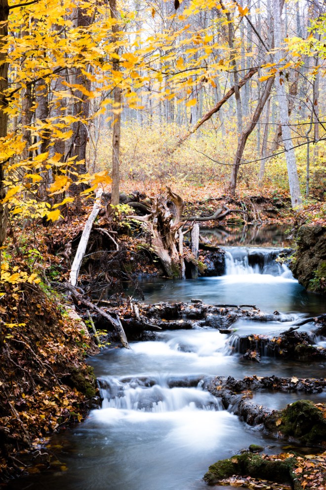 Bridges-20151024-_SAM1724-2