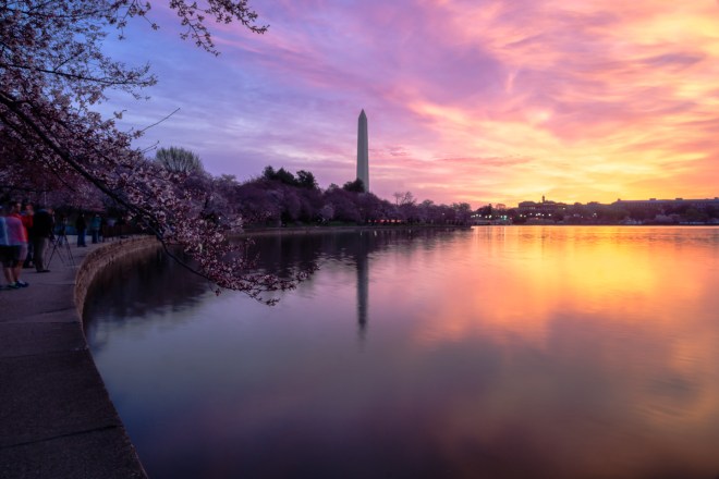 Cherry-Blossom-DC-Tidal-Basin-20160323-_DSC2268-2